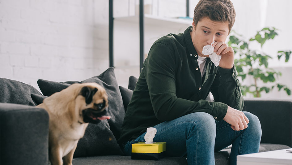 Purchasing an air purifier is one of the wisest approaches to enhance your house’s indoor air quality. Learn more about the three best solutions. 