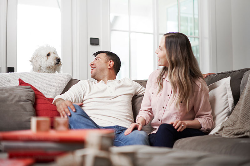 Do Air Purifiers Reduce Allergies?